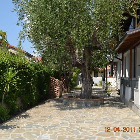 Oasi Peppa Villa Ascea Ngoại thất bức ảnh